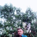 ���������� ����, ���� ������� �������, 43 ����, ������������ ��� c�������� ���������