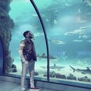 ���������� ������, ���� ������� �����, 30 ���, ������������ ��� ������, ����� � ���������