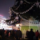 ���������� �������, ���� ������� ALEXA, 41 ���, ������������ ��� ������, ����� � ���������, c�������� ���������