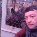  ,   , 41 ,   ,   