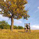 ���������� ��������, ���� ������� �����, 37 ���, ������������ ��� ������, ����� � ���������, c�������� ���������, ���������