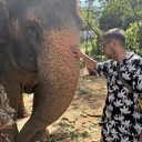  Phuket,   , 34 ,   ,   