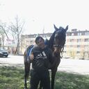  --,   , 48 ,   ,   