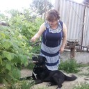  ,   , 54 ,  
