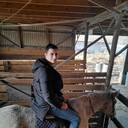 ���������� ���������, ���� ������� ������, 38 ���, ������������ ��� ����� � ���������, c�������� ���������