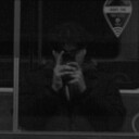 ���������� ����������, ���� ����� ������, 24 ����, ������������ ��� ������