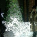 ���������� ������, ���� ������� ���������, 41 ���, ������������ ��� ������, ����� � ���������, c�������� ���������