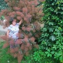  ,   , 61 ,   ,   