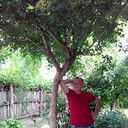 ���������� �������, ���� ������� Sergo, 45 ���, ������������ ��� ������, ����� � ���������, c�������� ���������