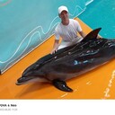  ,   , 44 ,   ,   , c , 