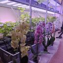 ���������� ������, ���� ������� ���, 28 ���, ������������ ��� ������, ����� � ���������, c�������� ���������