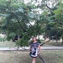  ,   , 53 ,   ,   , c 