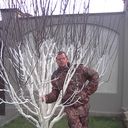 ���������� ������-��-����, ���� ������� ���������, 38 ���, ������������ ��� ������, ����� � ���������, c�������� ���������