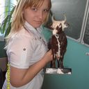 ���������� ������, ���� ������� ���������, 31 ���, ������������ ��� ������, ����� � ���������, c�������� ���������