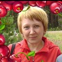  ,    , 51 ,   ,   