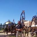 ���������� ������, ���� ������� ��������, 42 ����, ������������ ��� ������, ����� � ���������, c�������� ���������