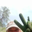 ���������� ���������, ���� ������� ������, 54 ����, ������������ ��� ������, ����� � ���������