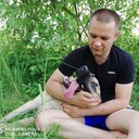 ���������� �������, ���� ������� �������, 41 ���, ������������ ��� ������, ����� � ���������, c�������� ���������