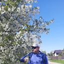 ���������� ����, ���� ������� ������, 50 ���, ������������ ��� ������, ����� � ���������