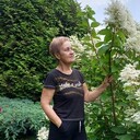 ���������� ������, ���� ������� �������, 65 ���, ������������ ��� ������, ����� � ���������, ���������