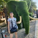  ,   , 38 ,   ,   