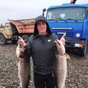 ���������� �����������-��-�����, ���� ������� ������, 45 ���, ������������ ��� ������, ����� � ���������