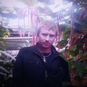  --,   Lis, 36 ,   ,   