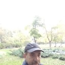 ���������� ������, ���� ������� ������, 50 ���, ������������ ��� ����� � ���������, c�������� ���������, ���������