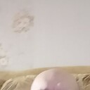  ,   , 46 ,   c 