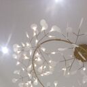 ���������� ������, ���� ������� �������, 31 ���, ������������ ��� c�������� ���������