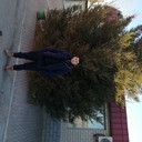  ,   , 29 ,   ,   , c 