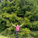  ,   , 38 ,   ,   , c , 