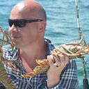 ���������� ������, ���� ������� ������, 65 ���, ������������ ��� ����� � ���������, c�������� ���������