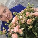 ���������� ���������, ���� ������� �����, 65 ���, ������������ ��� ������, ����� � ���������