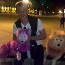 ���������� ���������, ���� ������� ���������, 43 ����, ������������ ��� ������, ����� � ���������, c�������� ���������