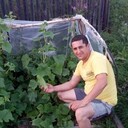 ���������� �����-���������, ���� ������� ����, 38 ���, ������������ ��� ������, ����� � ���������