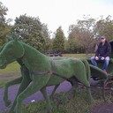 ���������� ������, ���� ������� �����, 36 ���, ������������ ��� ������, ����� � ���������