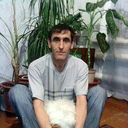  ,   , 50 ,   ,   , c 