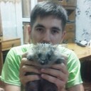 ���������� ����������, ���� ������� ���������, 26 ���, ������������ ��� ������, ����� � ���������