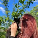 ���������� �����, ���� ������� ��, 33 ����, ������������ ��� ���������