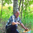   ,   , 62 ,   