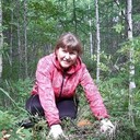 ���������� ����, ���� ������� �����, 44 ����, ������������ ��� ������, ����� � ���������, c�������� ���������