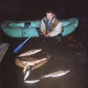  -,   , 44 ,   ,   , c 