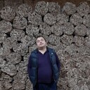 ���������� �������, ���� ������� Kodir, 37 ���, ������������ ��� ������, ����� � ���������