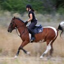 ���������� ����, ���� ������� ����, 29 ���, ������������ ��� ���������