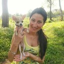 ���������� ����, ���� ������� ����, 49 ���, ������������ ��� c�������� ���������