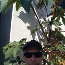 ���������� �������, ���� ������� ϸ��, 41 ���, ������������ ��� ����� � ���������, c�������� ���������