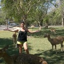 ���������� �����������, ���� ������� �����, 41 ���, ������������ ��� ����� � ���������, c�������� ���������