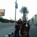 ���������� �����, ���� ������� Vaxa, 58 ���, ������������ ��� ������, ����� � ���������, c�������� ���������, ���������