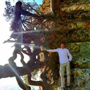 ���������� ������, ���� ������� ϸ��, 37 ���, ������������ ��� ������, ����� � ���������